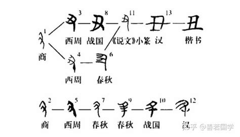 丑位|分解十二地支最深刻的解读2（丑）